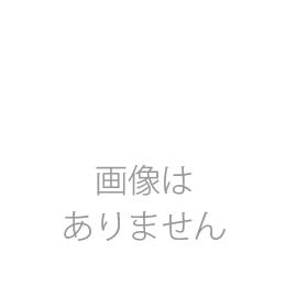 3Mラジアルブリッスルディスク 交換用ディスク(4枚入) グリーン(#6000〜#8000)